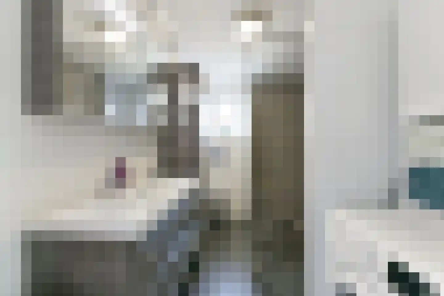 Goudvink 28 Nieuwegein thumbnail 39