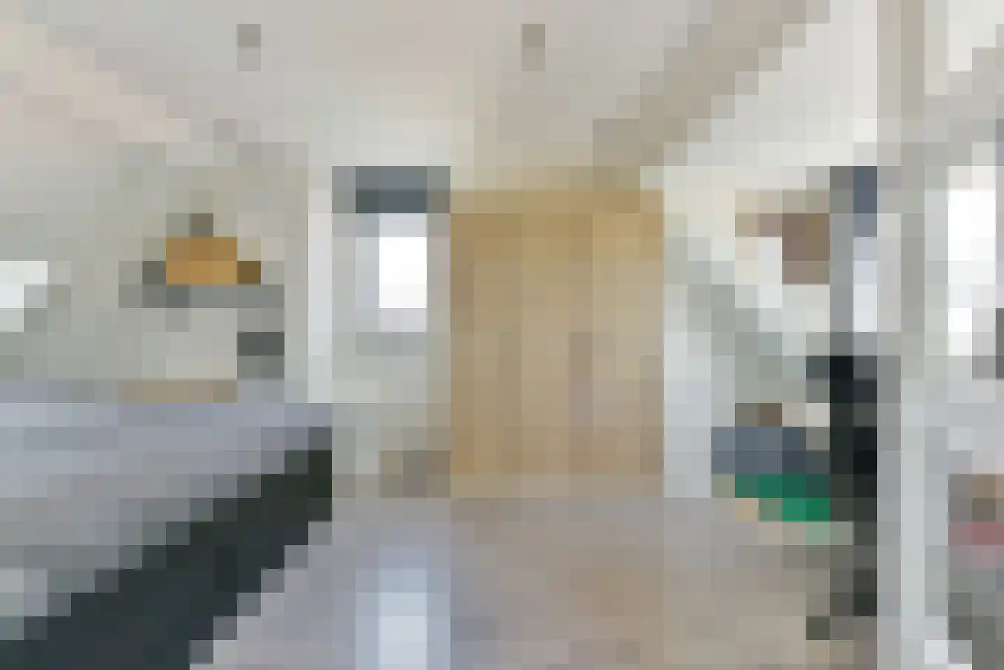 Goudvink 28 Nieuwegein thumbnail 43