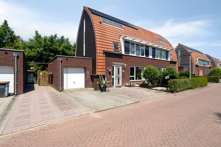 Goudvink 3 in Olst Foto