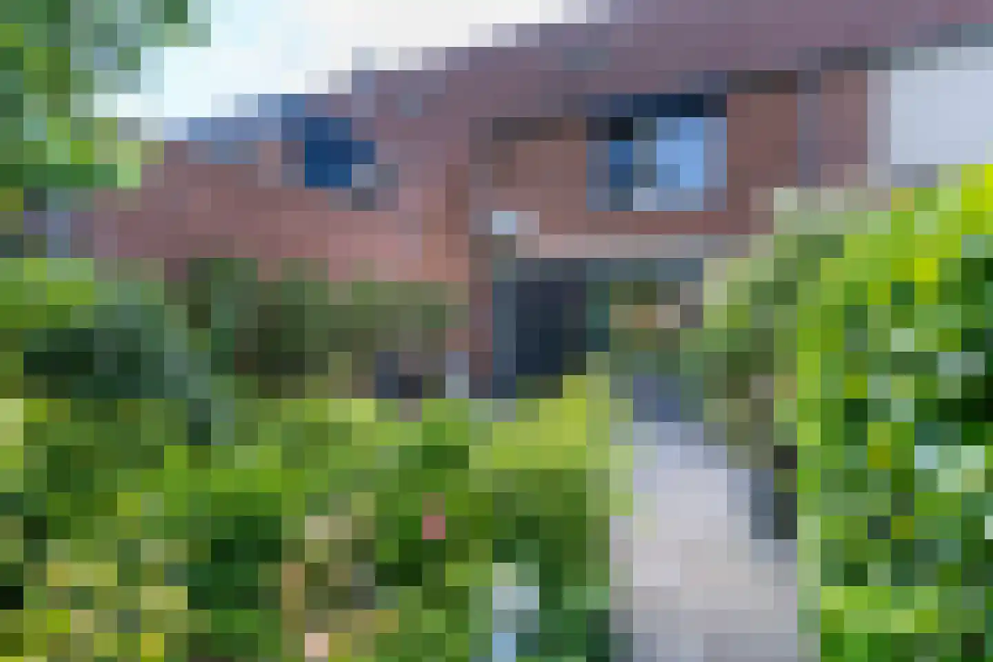 Goudvink 3 Nieuwegein thumbnail 16