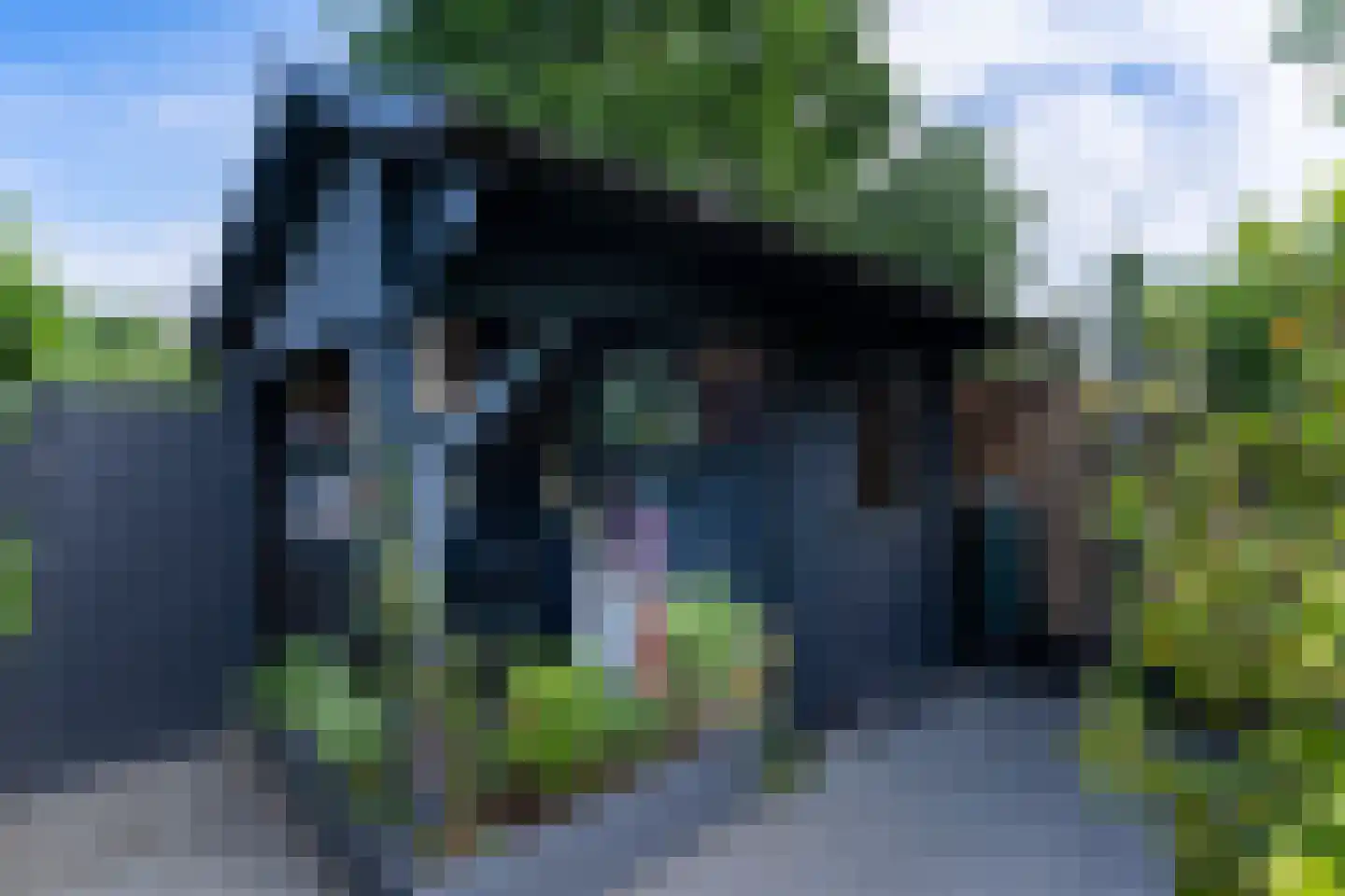 Goudvink 3 Nieuwegein thumbnail 17