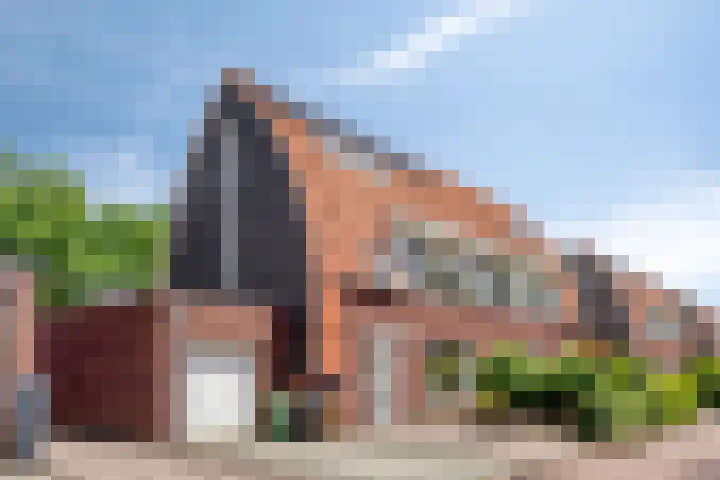 Goudvink 3 Olst
