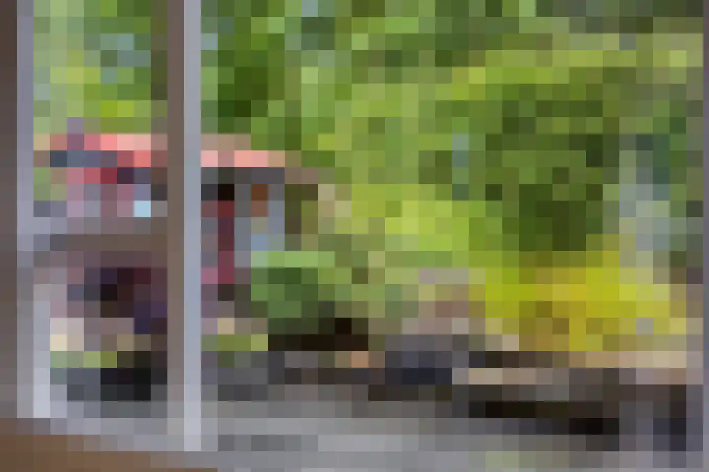 Goudvink 3 Olst thumbnail 10