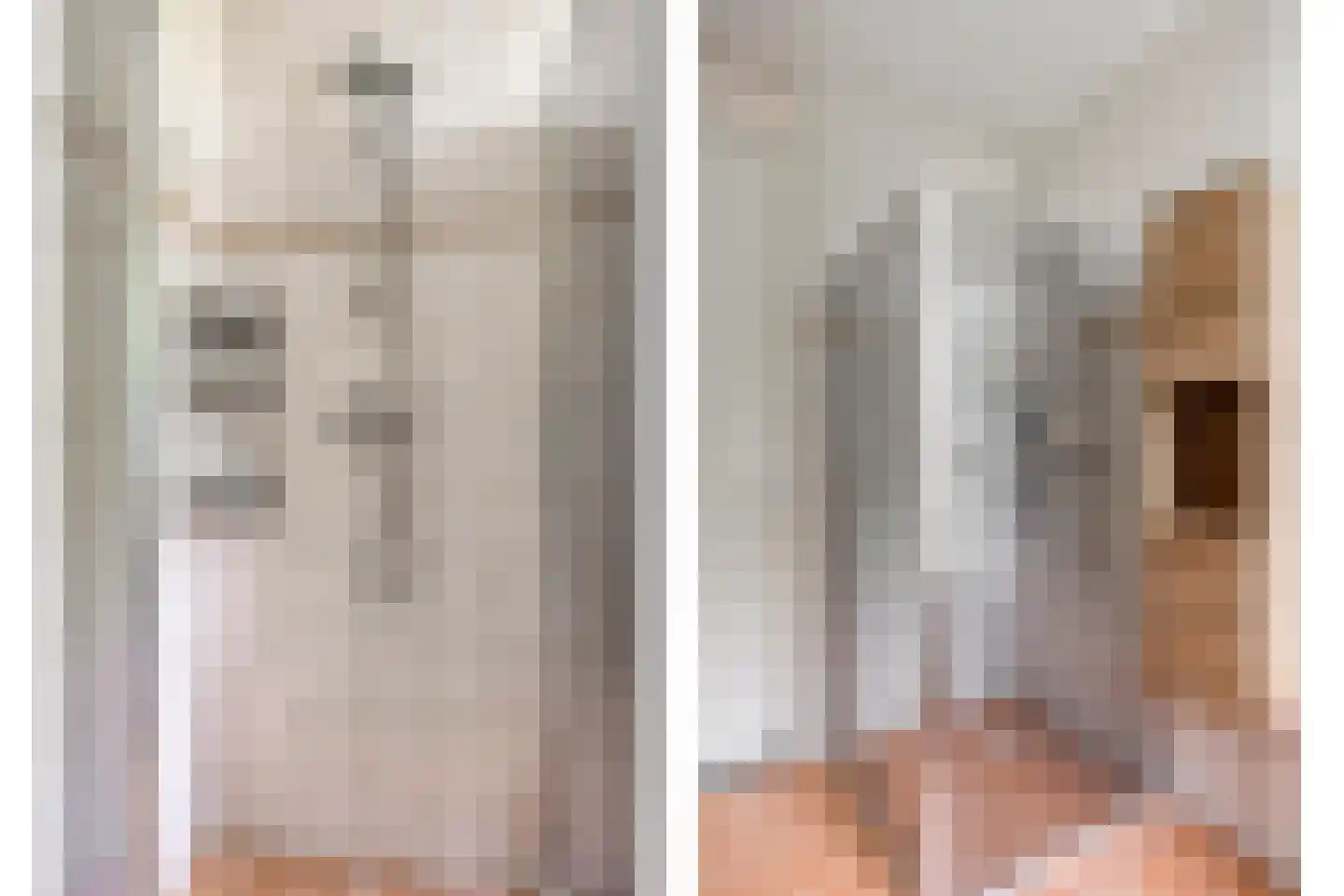 Goudvink 3 Olst thumbnail 24