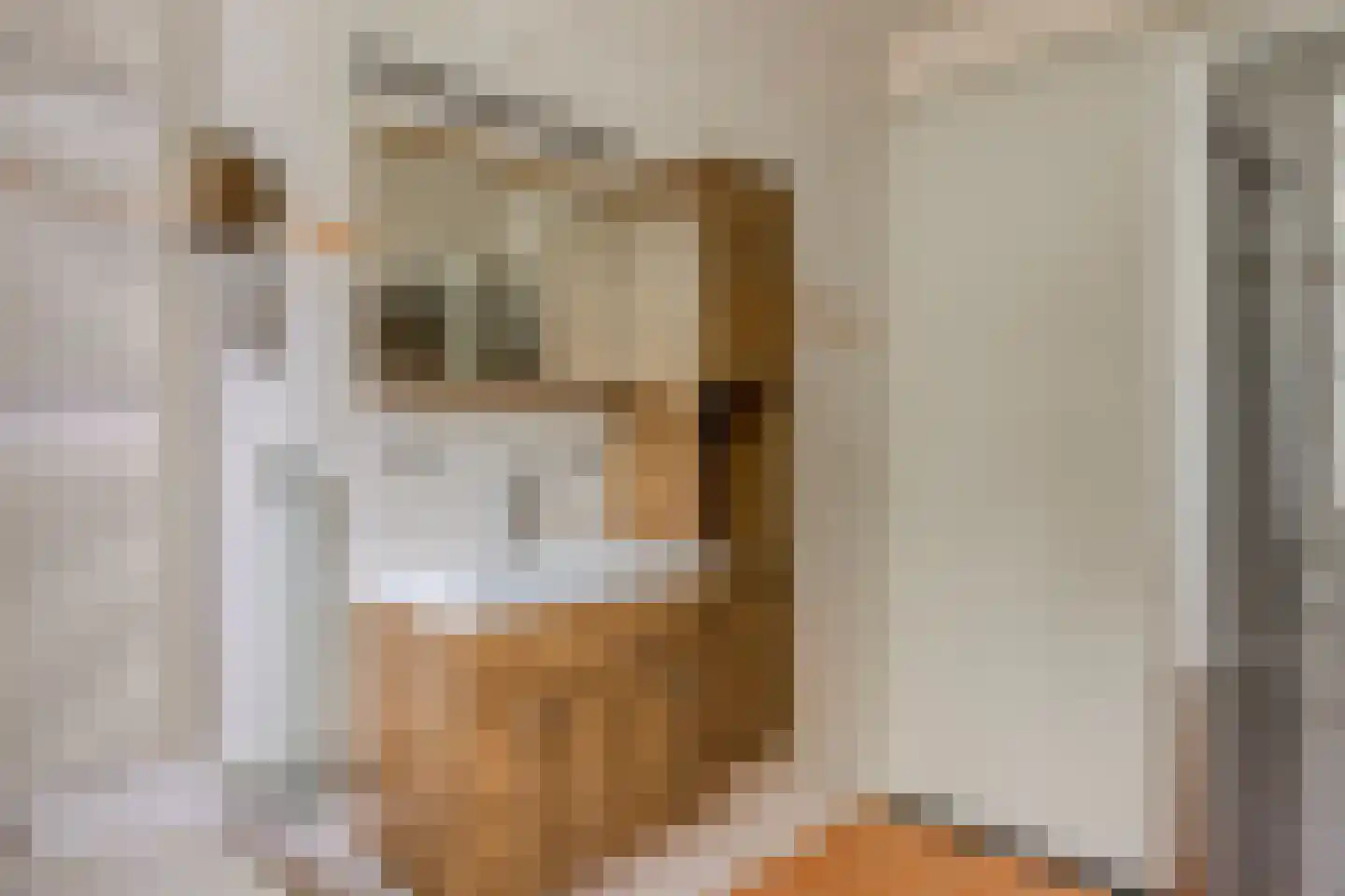 Goudvink 3 Olst thumbnail 25