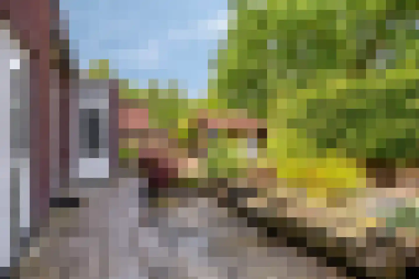 Goudvink 3 Olst thumbnail 36