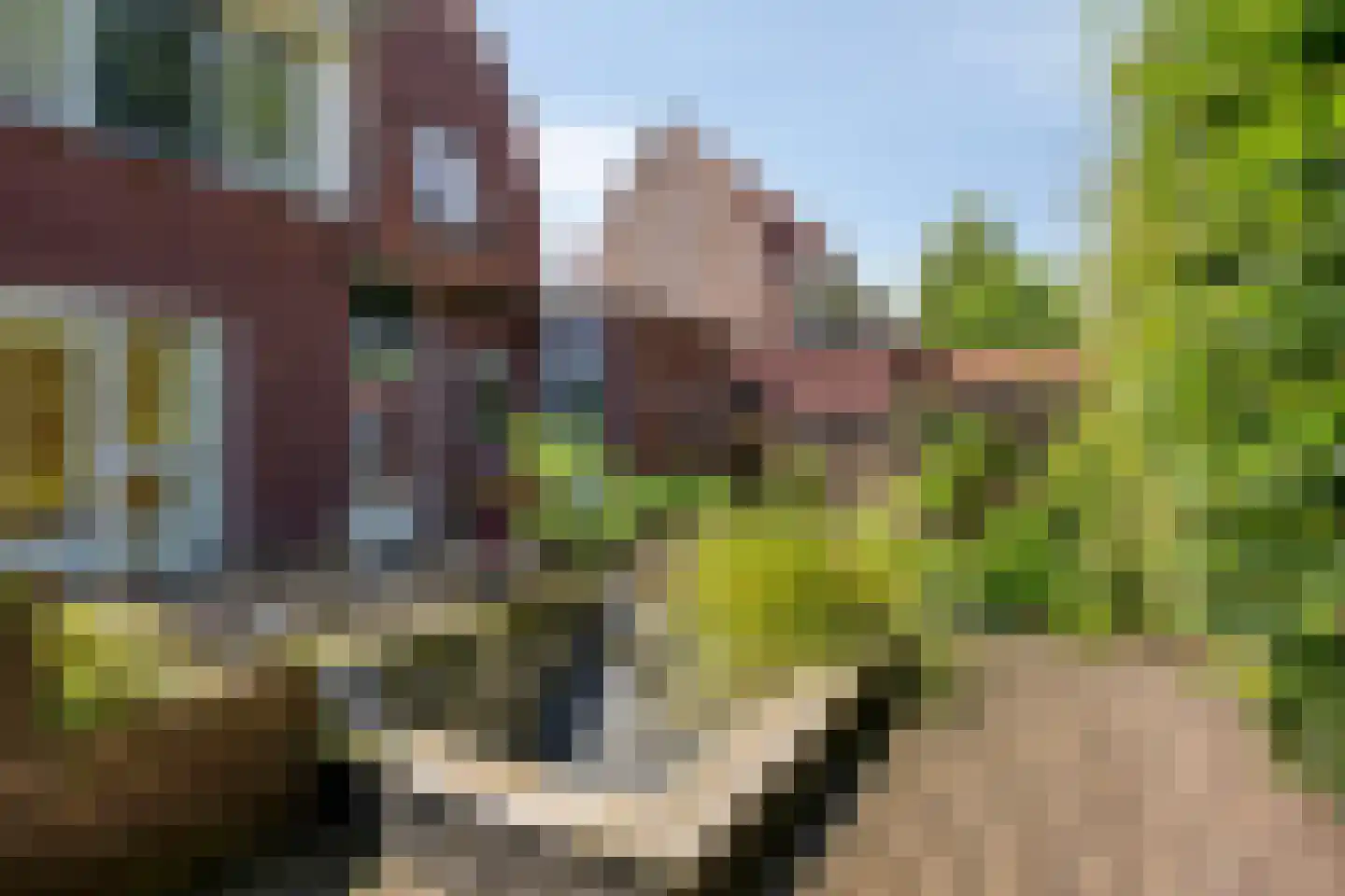 Goudvink 3 Olst thumbnail 37