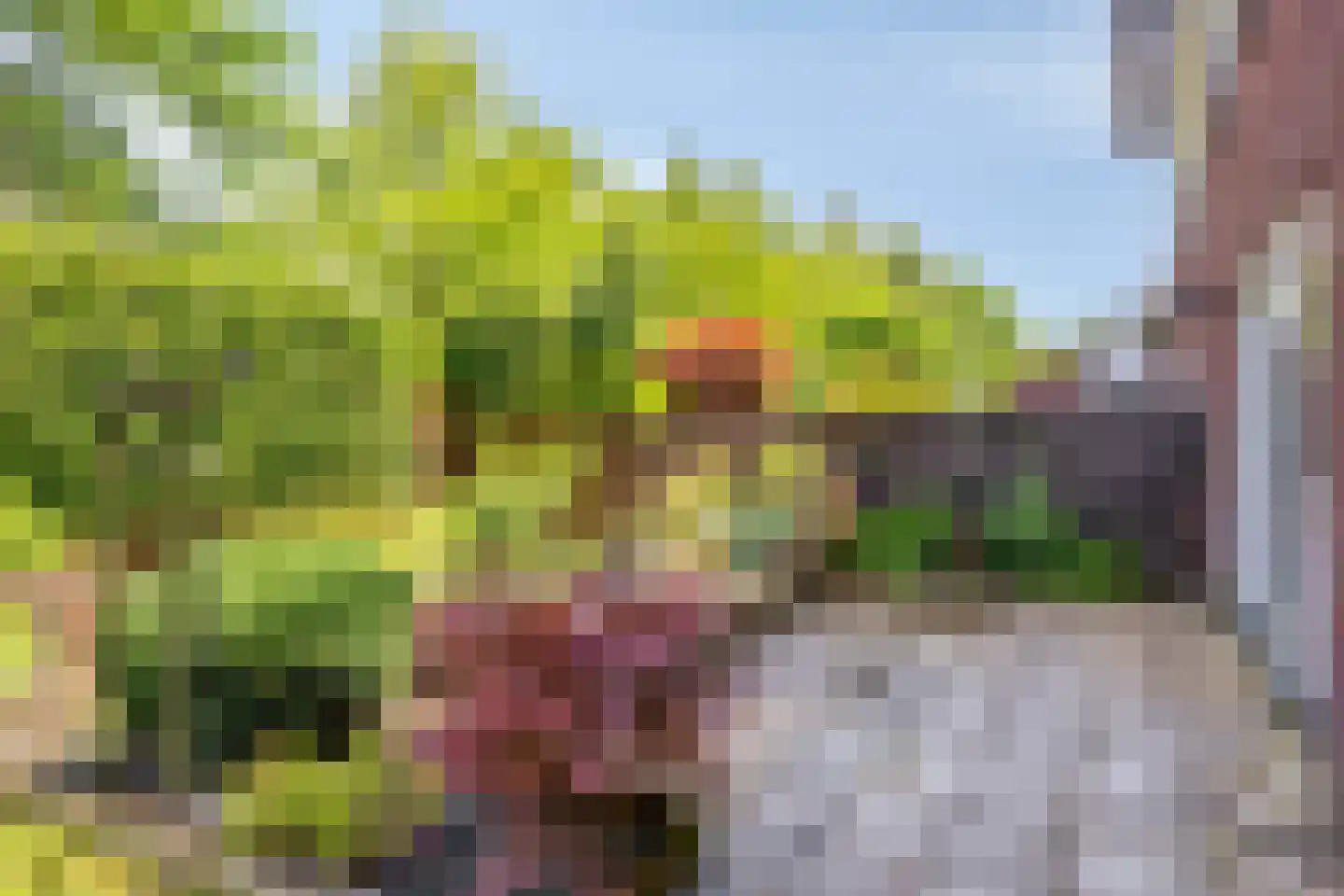Goudvink 3 Olst thumbnail 38