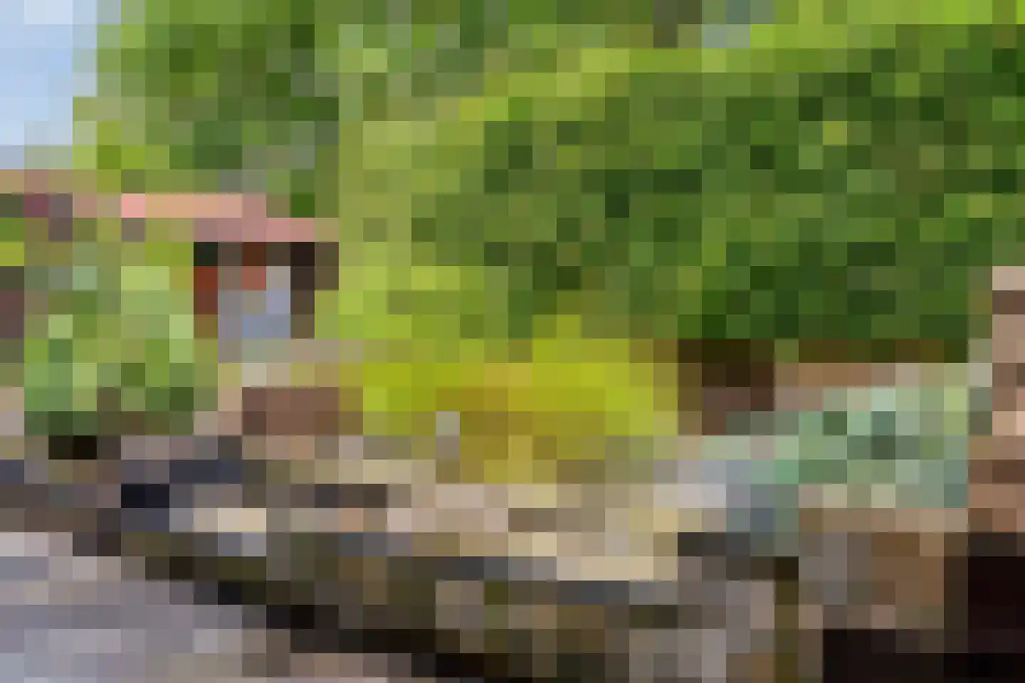 Goudvink 3 Olst thumbnail 39