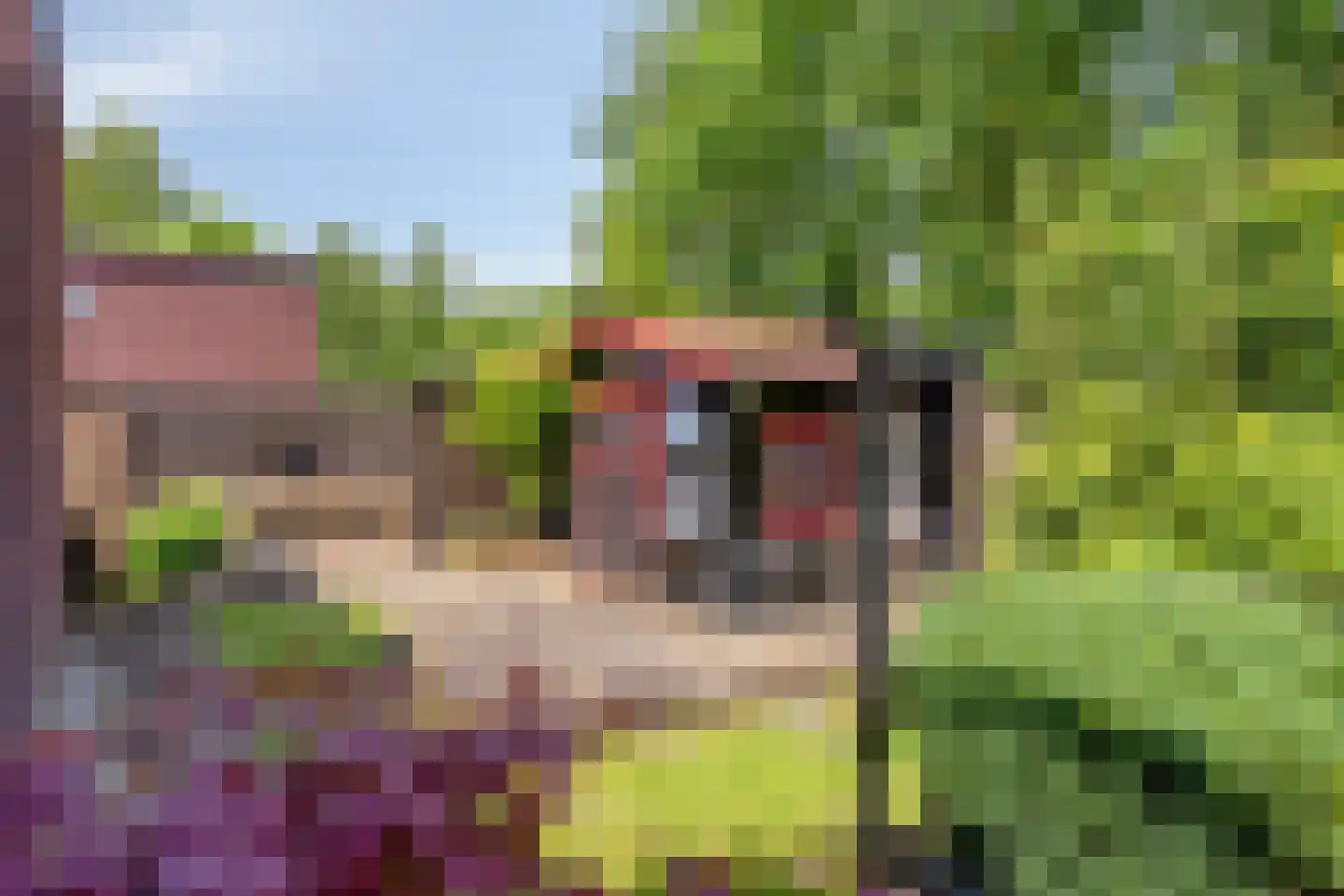 Goudvink 3 Olst thumbnail 40