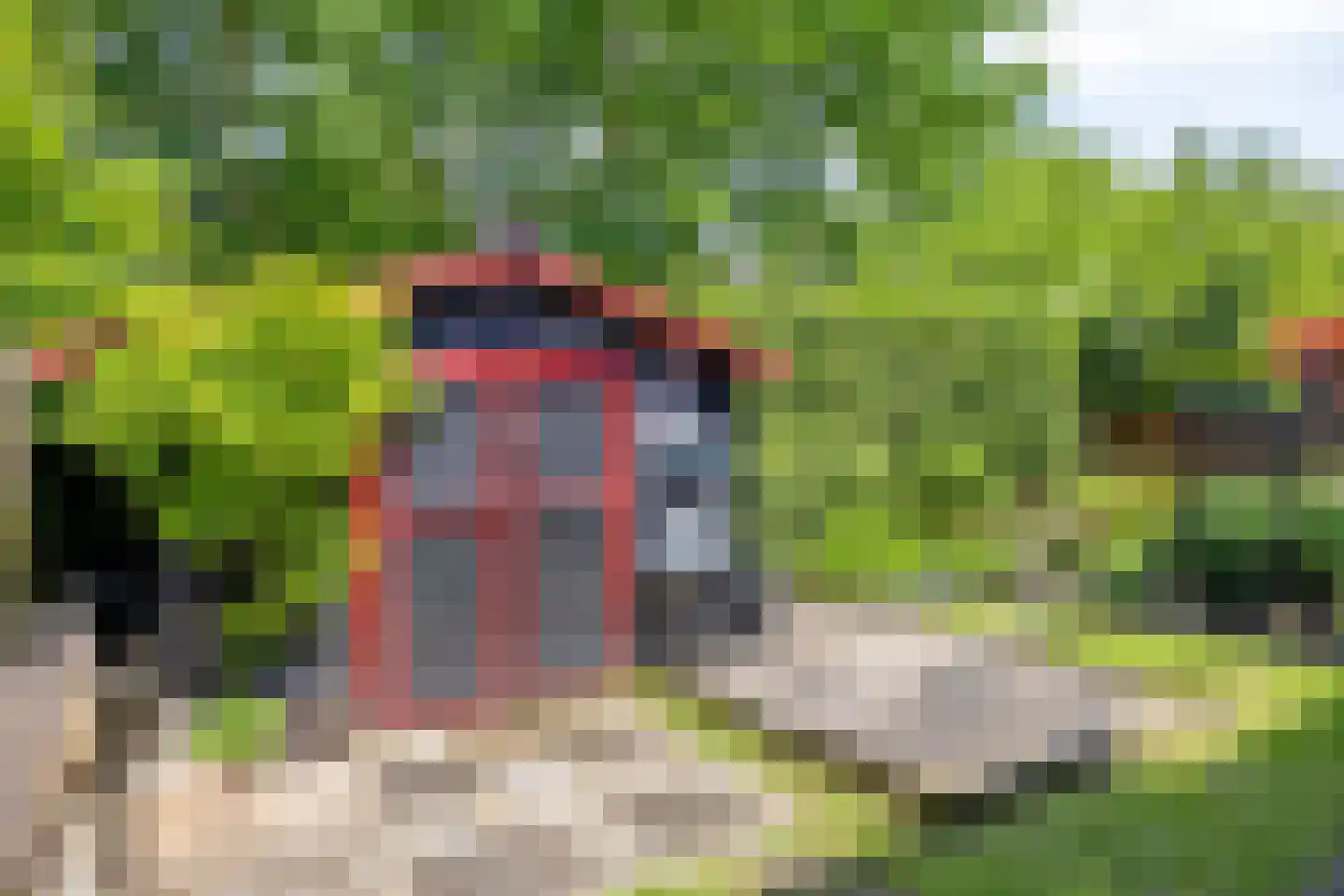 Goudvink 3 Olst thumbnail 41