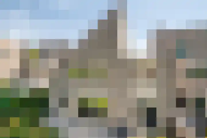 Goudvink 30 Soest thumbnail 44