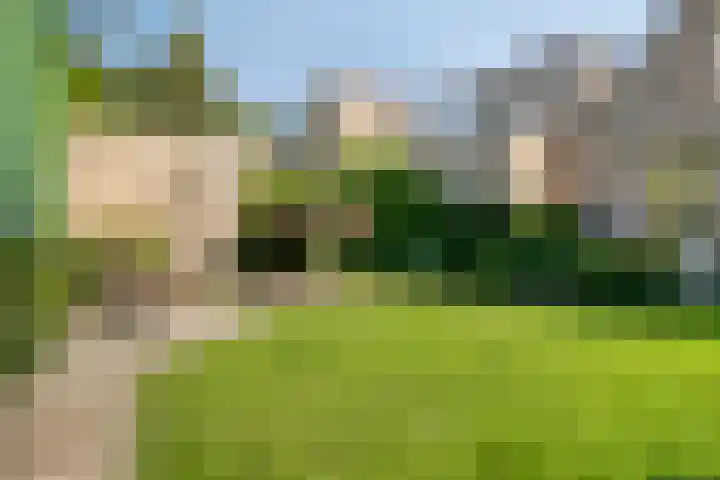 Goudvink 30 Soest thumbnail 46