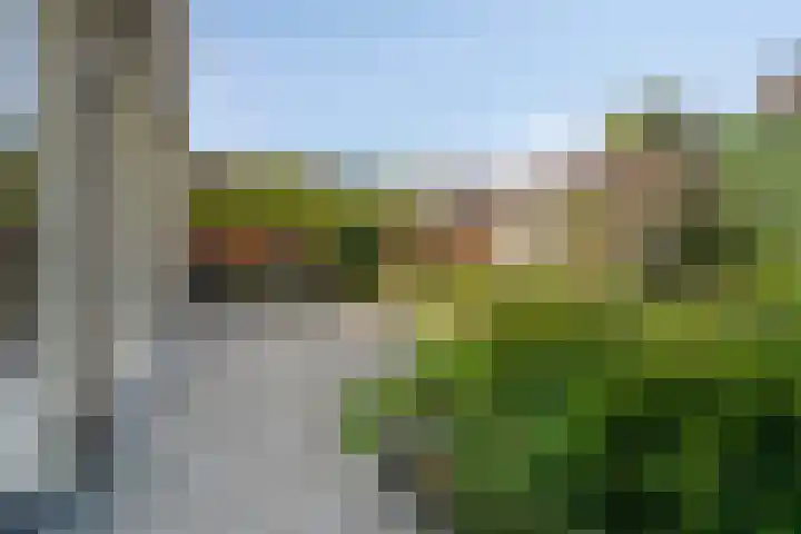 Goudvink 30 Soest thumbnail 48