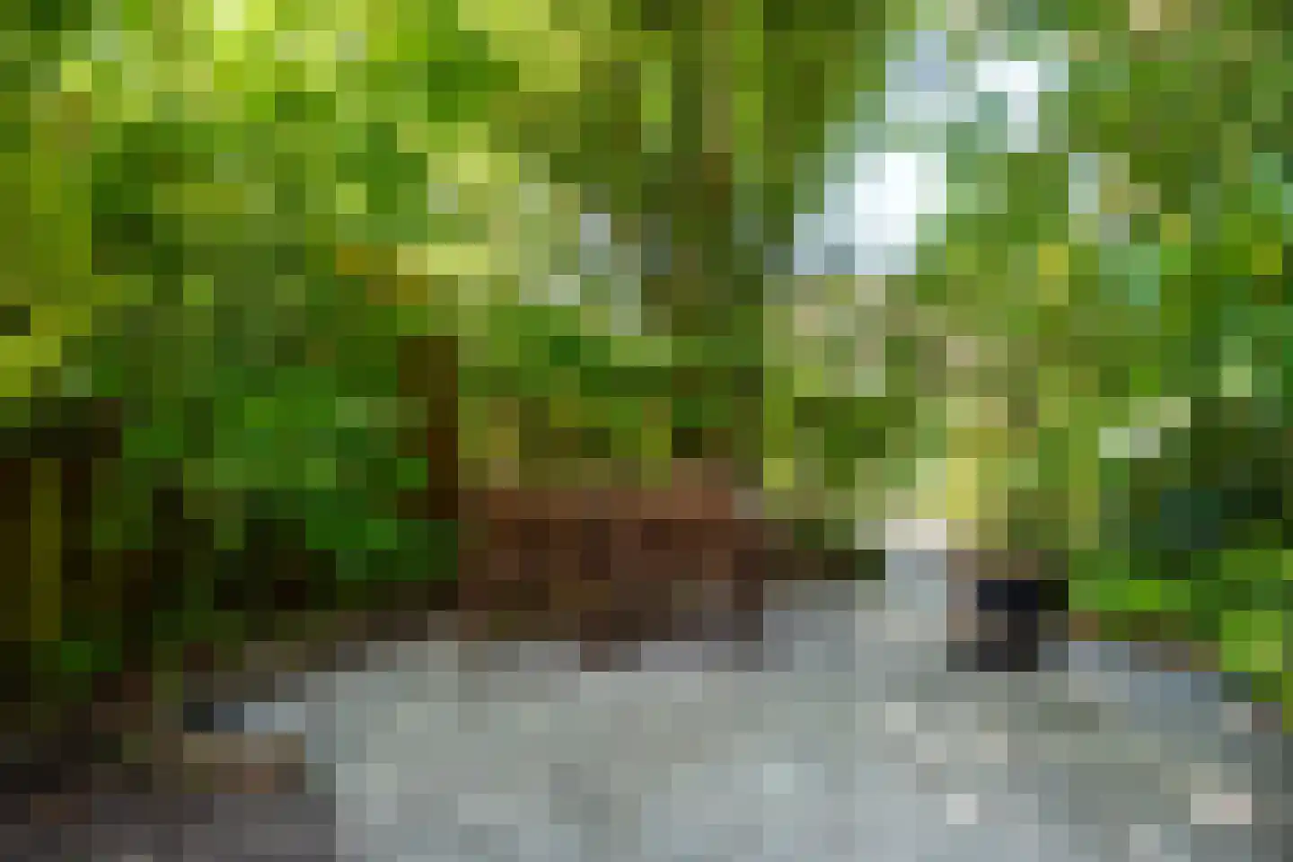 Goudvink 34 Nieuwegein thumbnail 11