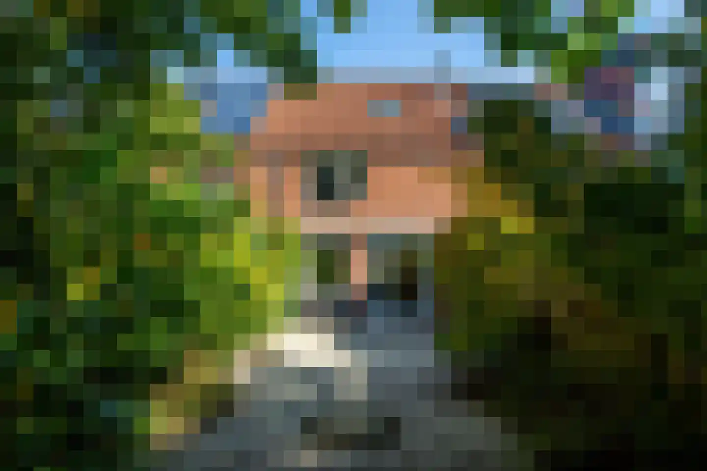 Goudvink 34 Nieuwegein thumbnail 8