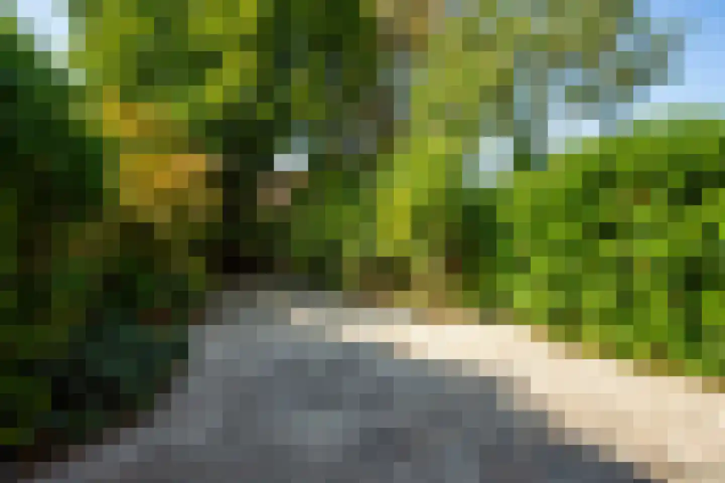 Goudvink 34 Nieuwegein thumbnail 9