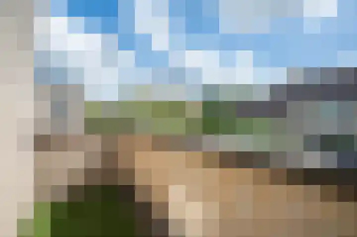 Goudvink 34 Soest thumbnail 17