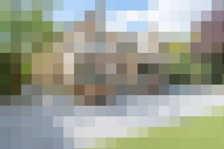 Goudvink 34 Soest thumbnail 28