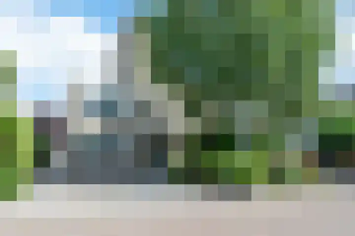 Goudvink 34 Soest thumbnail 33