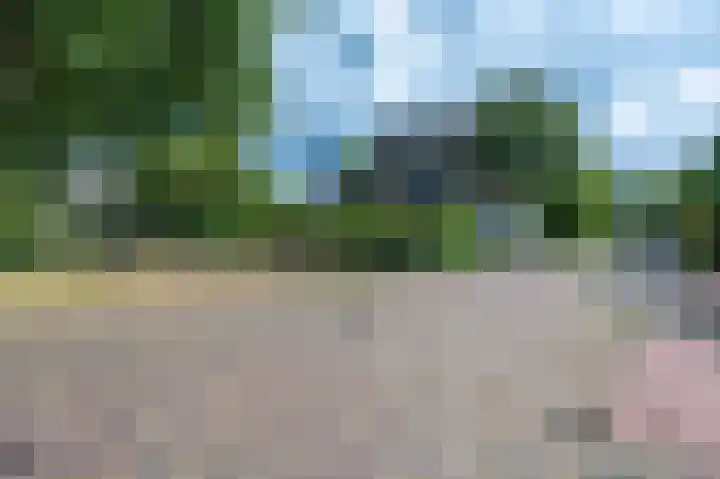 Goudvink 34 Soest thumbnail 35