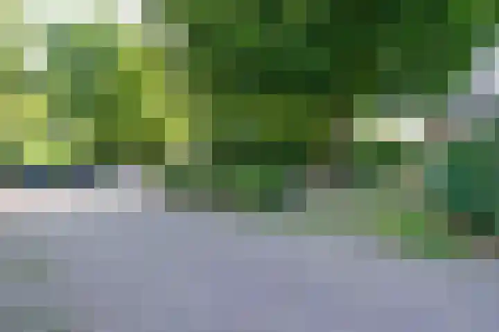 Goudvink 34 Soest thumbnail 36