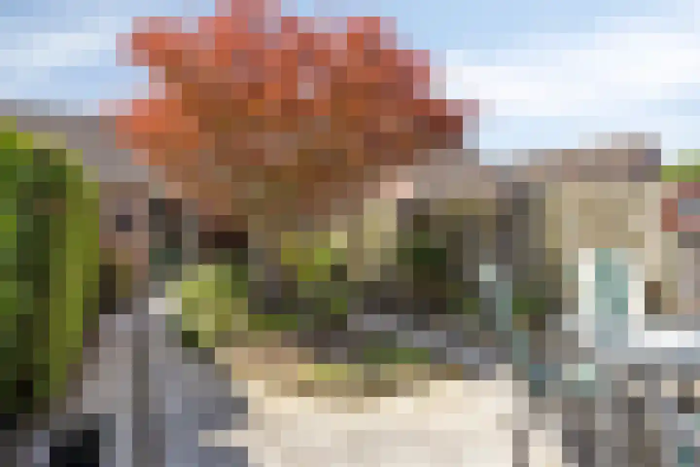 Goudvink 35 Veenendaal thumbnail 22
