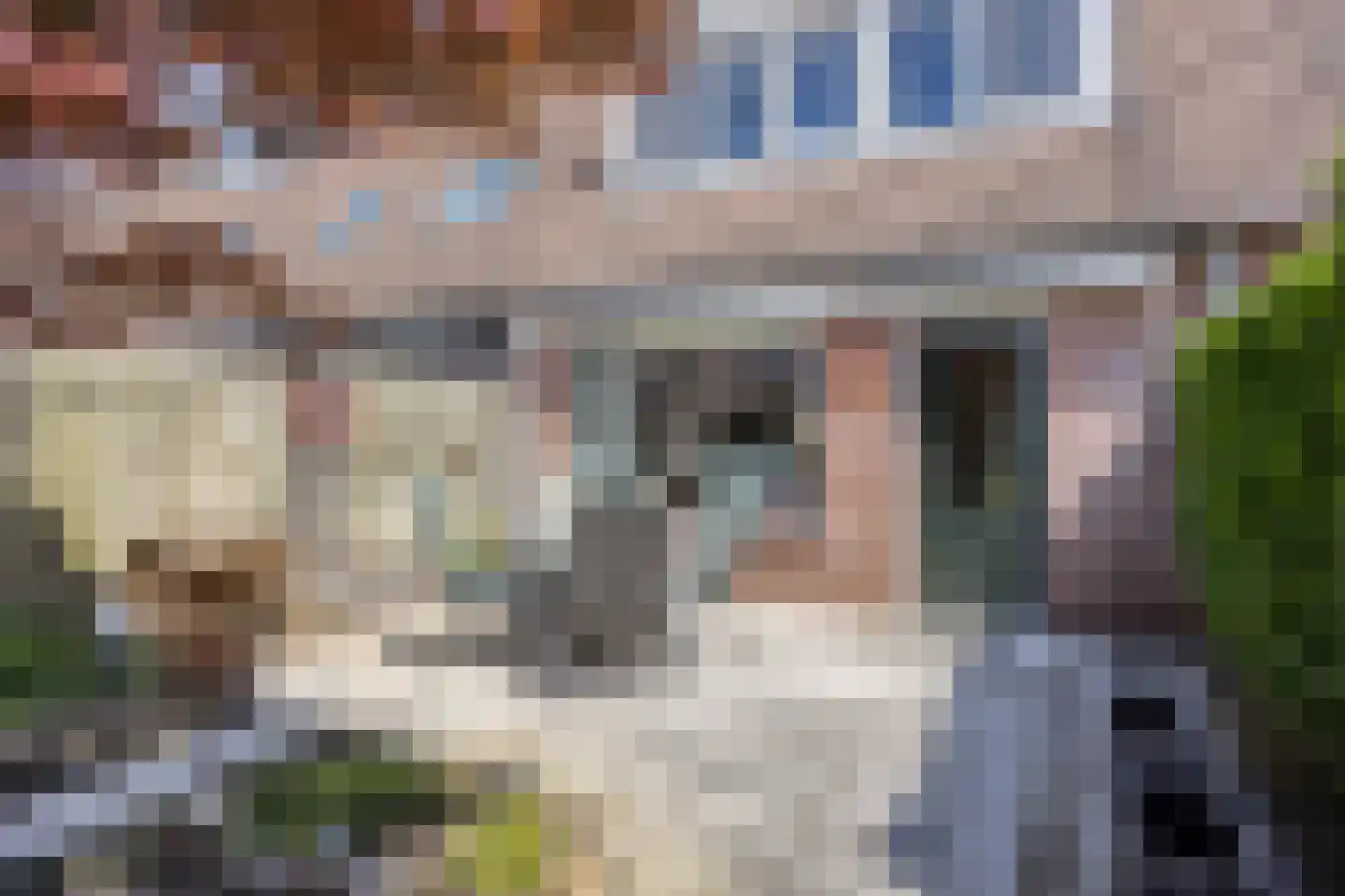 Goudvink 35 Veenendaal thumbnail 24