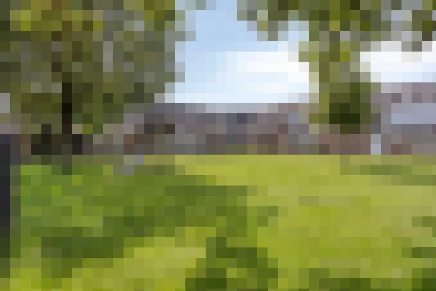 Goudvink 35 Veenendaal thumbnail 26