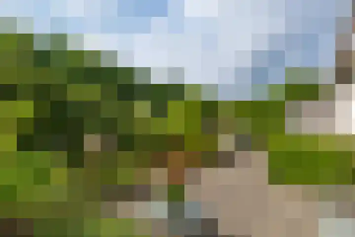 Goudvink 37 Soest thumbnail 22