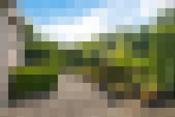 Goudvink 37 Soest thumbnail 23