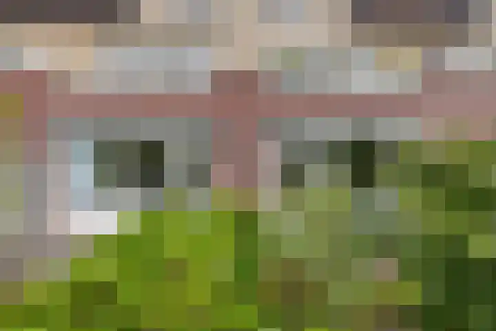Goudvink 37 Soest thumbnail 26