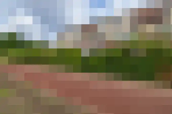 Goudvink 37 Soest thumbnail 27