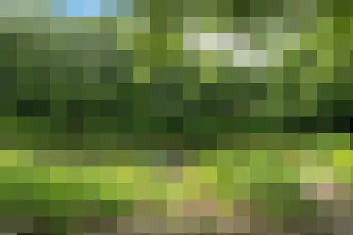 Goudvink 37 Soest thumbnail 28