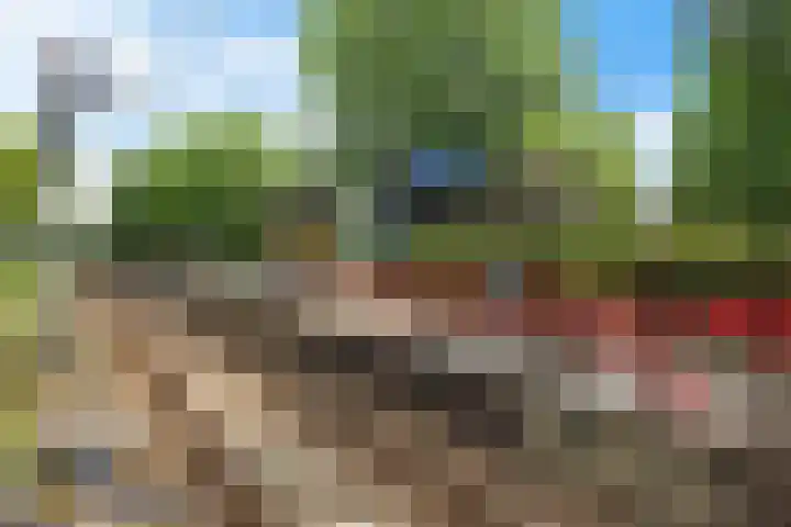 Goudvink 37 Soest thumbnail 29