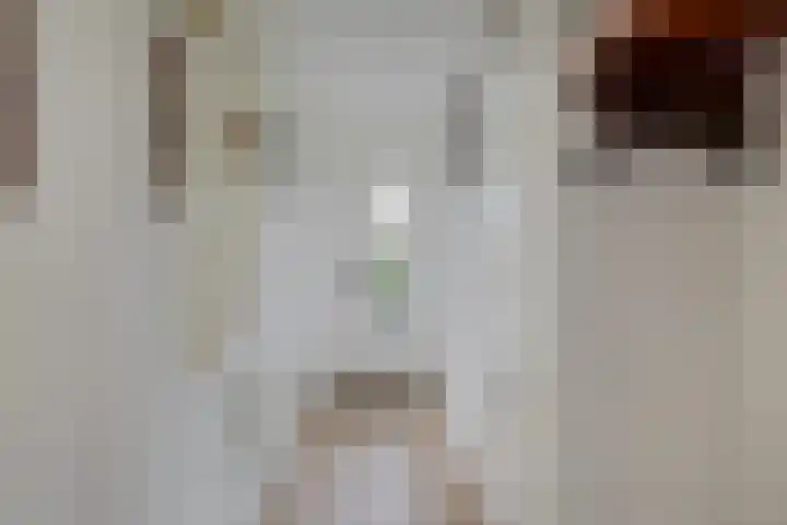 Goudvink 37 Soest thumbnail 4