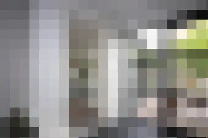 Goudvink 39 Rijssen thumbnail 10