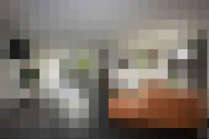 Goudvink 39 Rijssen thumbnail 13
