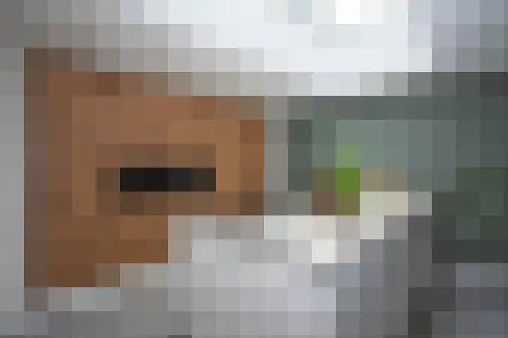 Goudvink 39 Rijssen thumbnail 19