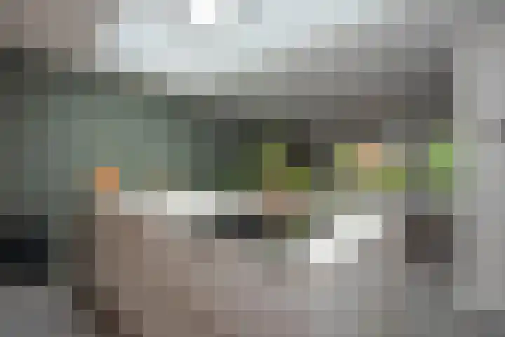 Goudvink 39 Rijssen thumbnail 20