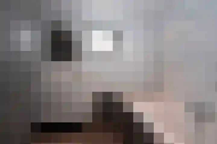 Goudvink 39 Rijssen thumbnail 25