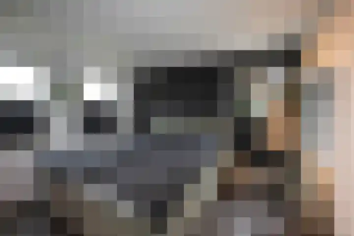 Goudvink 39 Rijssen thumbnail 27