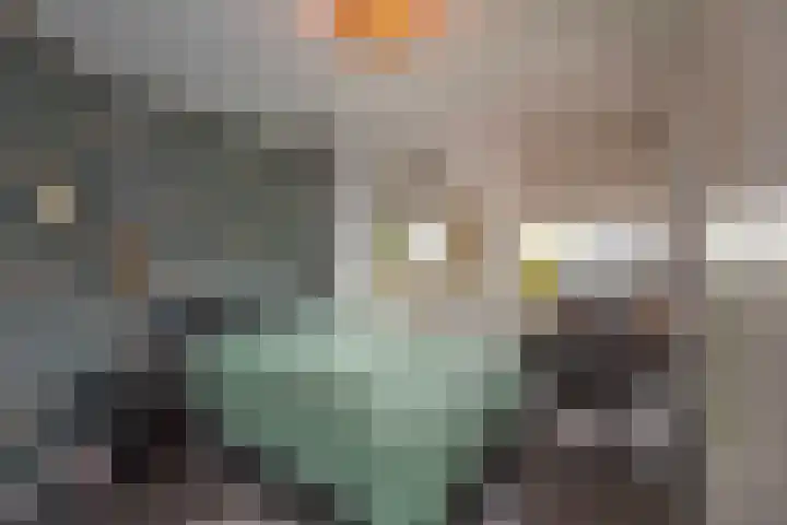 Goudvink 39 Rijssen thumbnail 28