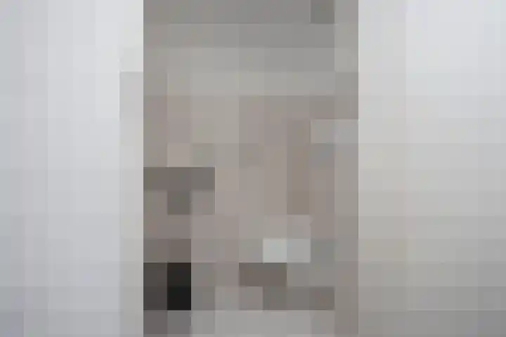 Goudvink 39 Rijssen thumbnail 30
