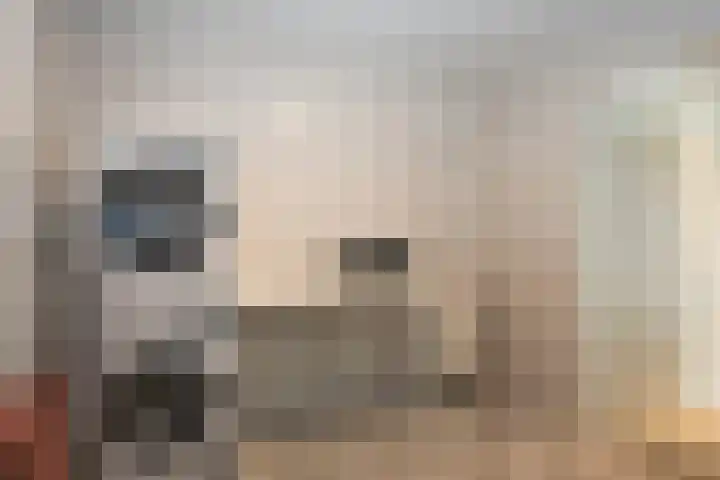 Goudvink 39 Rijssen thumbnail 31