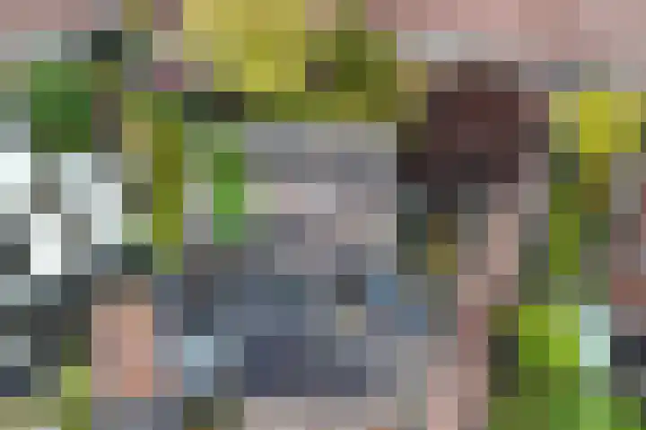Goudvink 39 Rijssen thumbnail 34