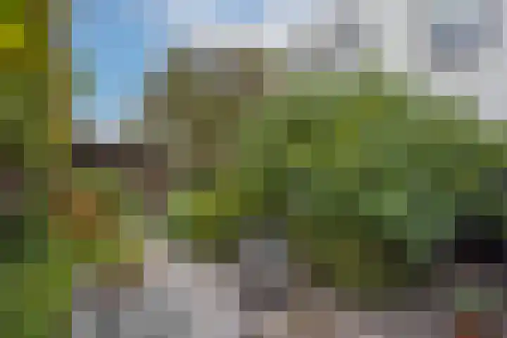 Goudvink 39 Rijssen thumbnail 35