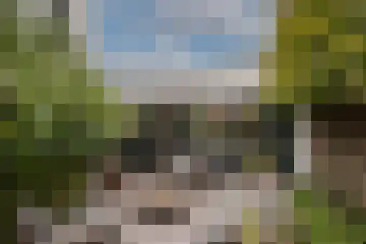 Goudvink 39 Rijssen thumbnail 36
