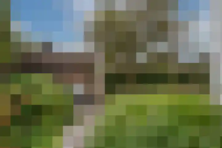 Goudvink 39 Rijssen thumbnail 37
