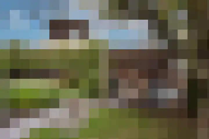 Goudvink 39 Rijssen thumbnail 38
